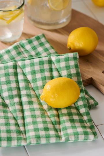 Pot Holder Green Check