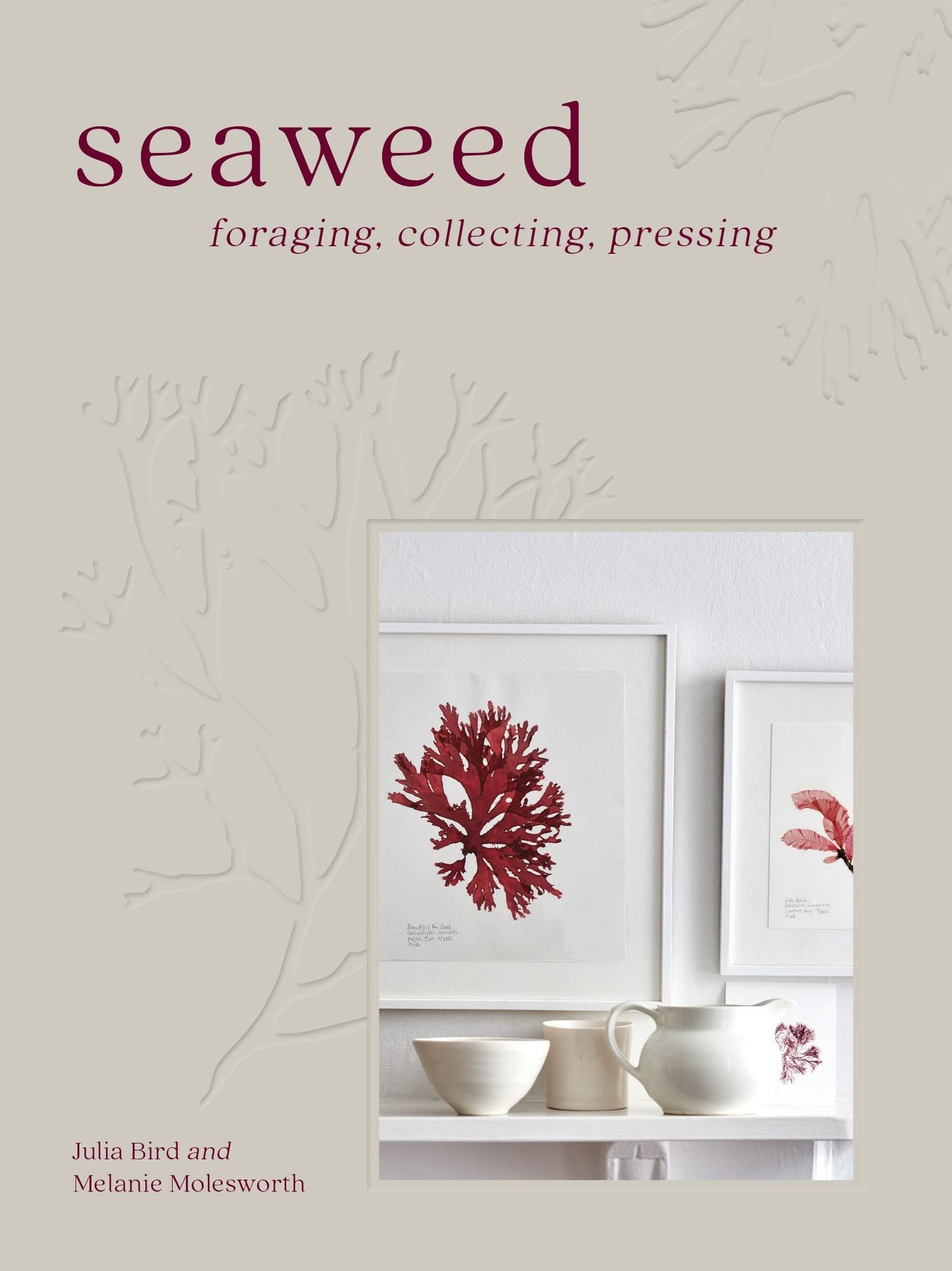 Seaweed: foraging, collecting, pressing