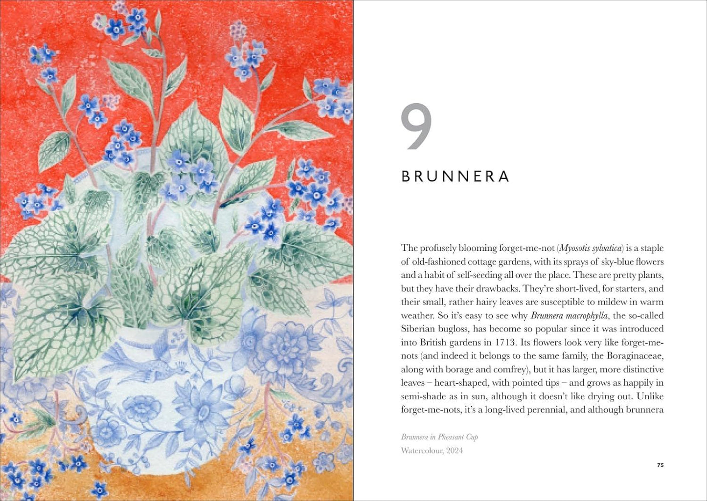 Book of Garden Flowers
