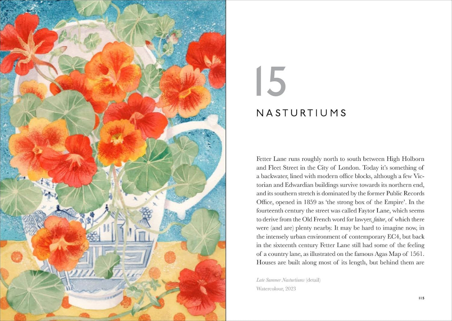 Book of Garden Flowers