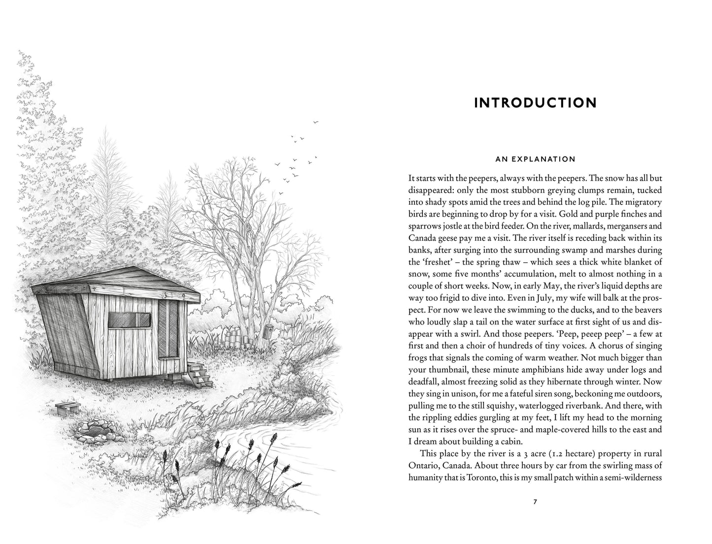 Cabin