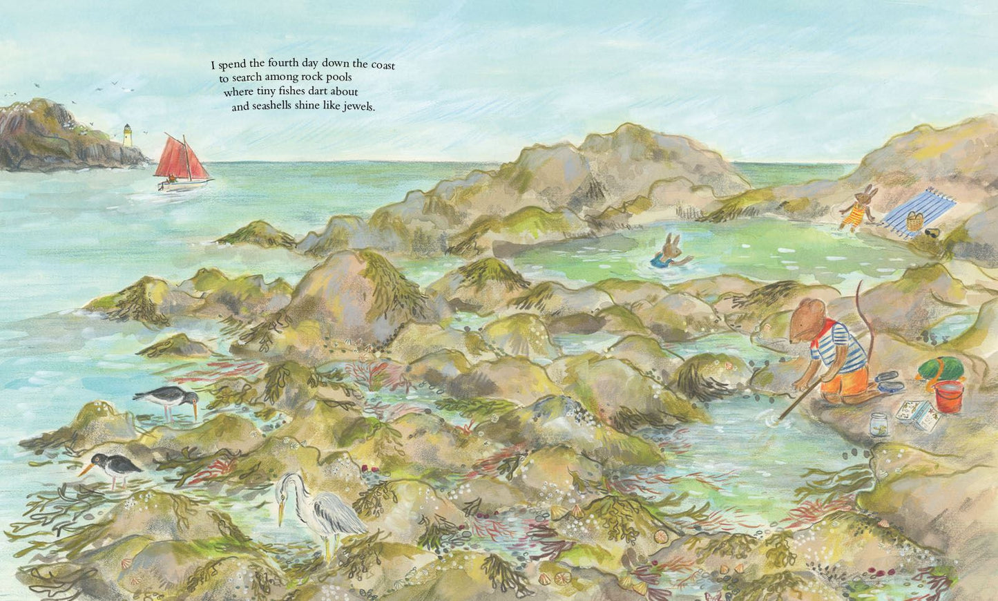 Mouse by the Sea: A holiday in nature