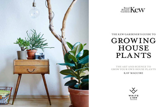 Kew Gardeners Guide To Growing Houseplants