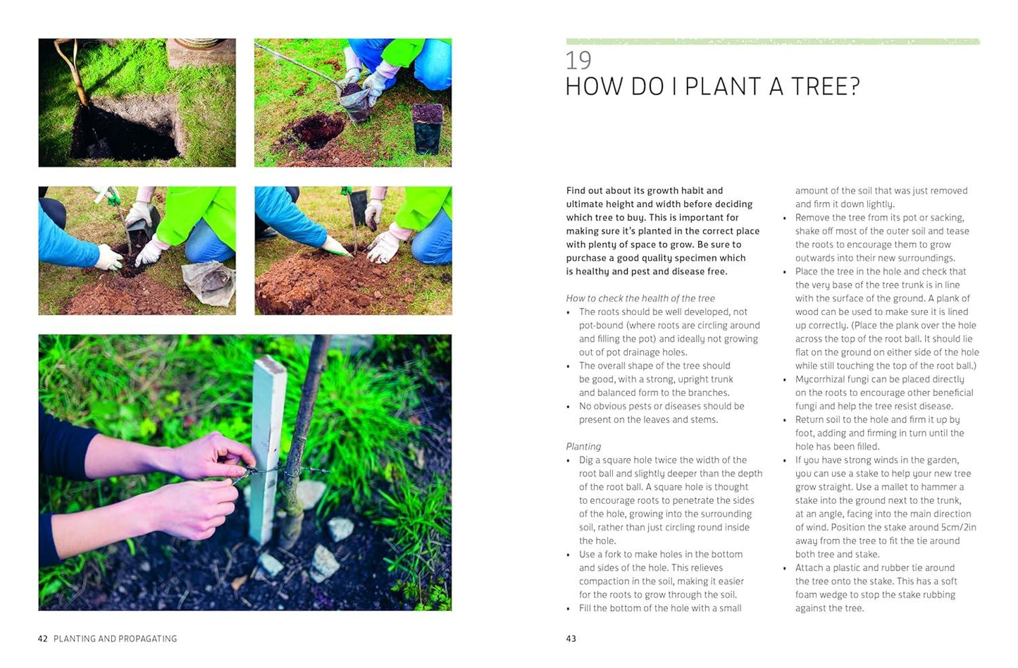 Kew Answers For Everyday Gardeners