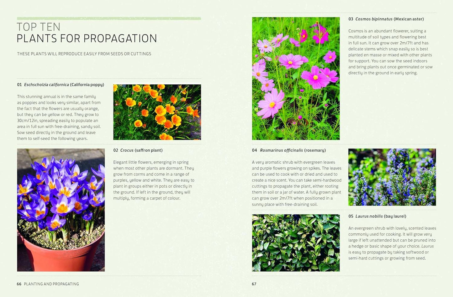 Kew Answers For Everyday Gardeners