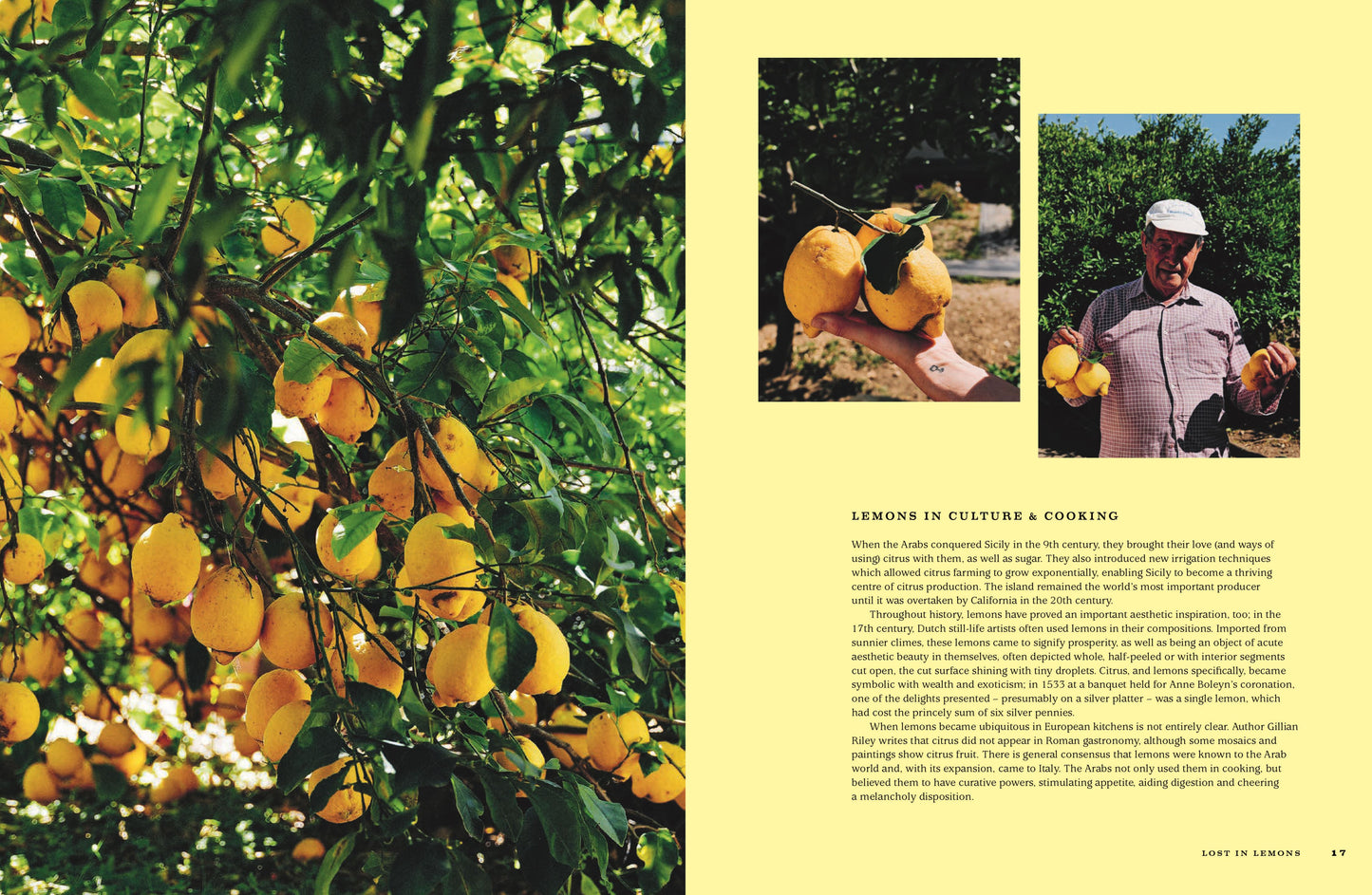 For the Love of Lemons
