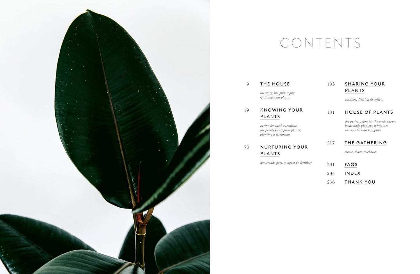 House of Plants