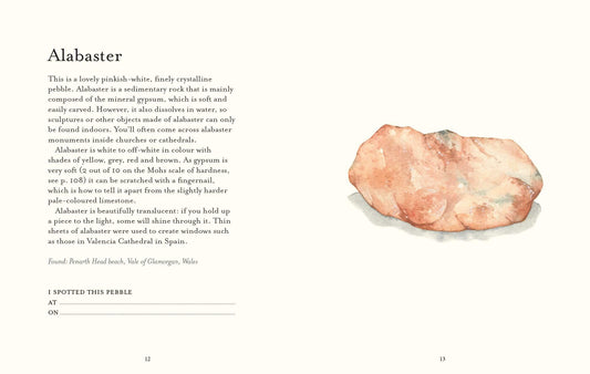 Pebble Spotters Guide