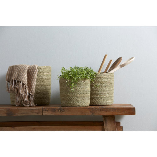 Jute Planter
