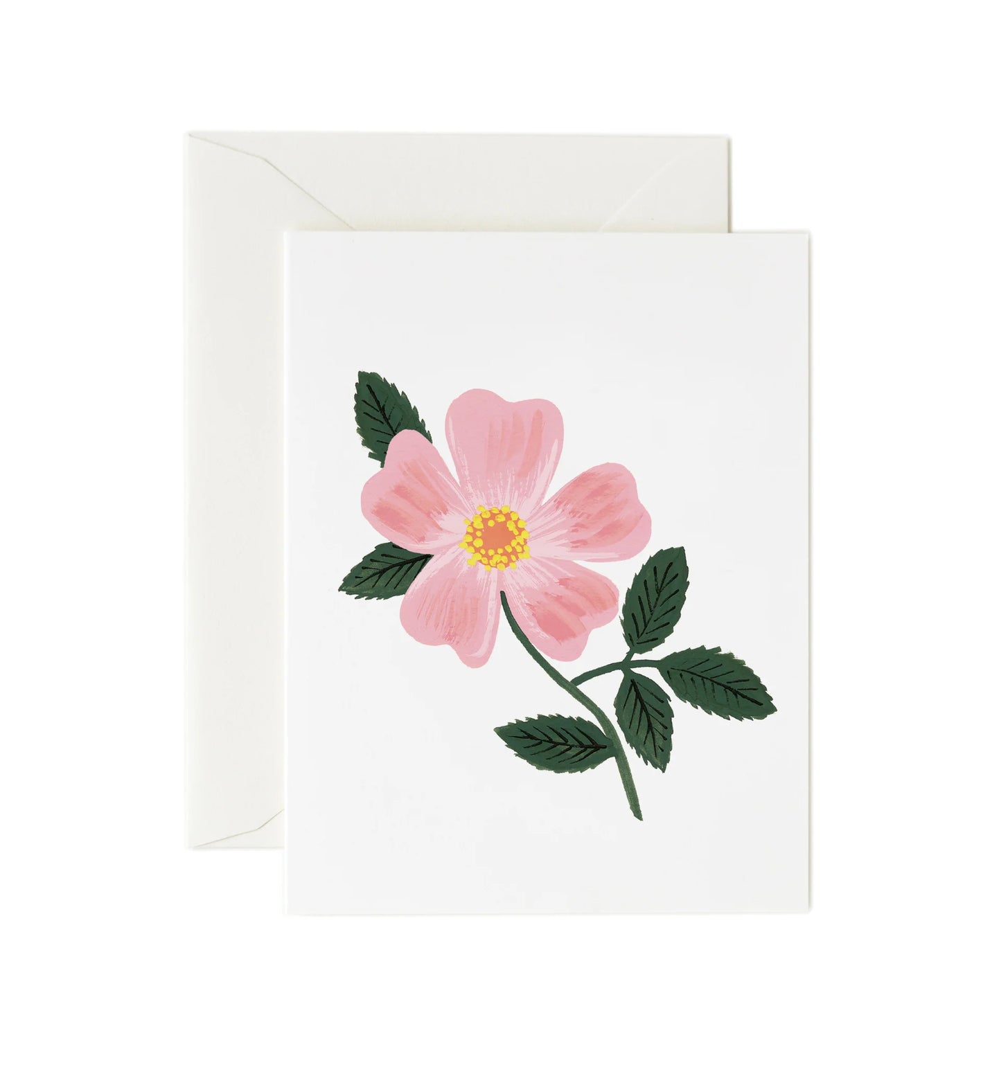 Wild Prairie Rose