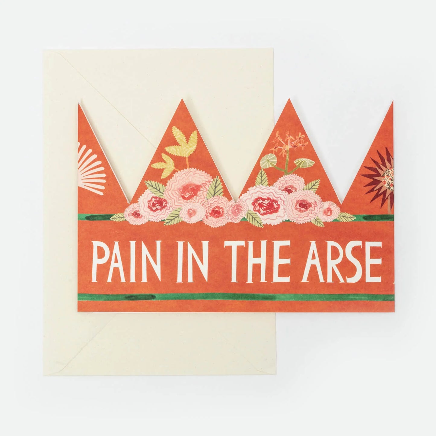 Pain In The Arse Party Hat