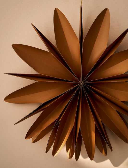 Paper Curved Christmas Star | Nutmeg