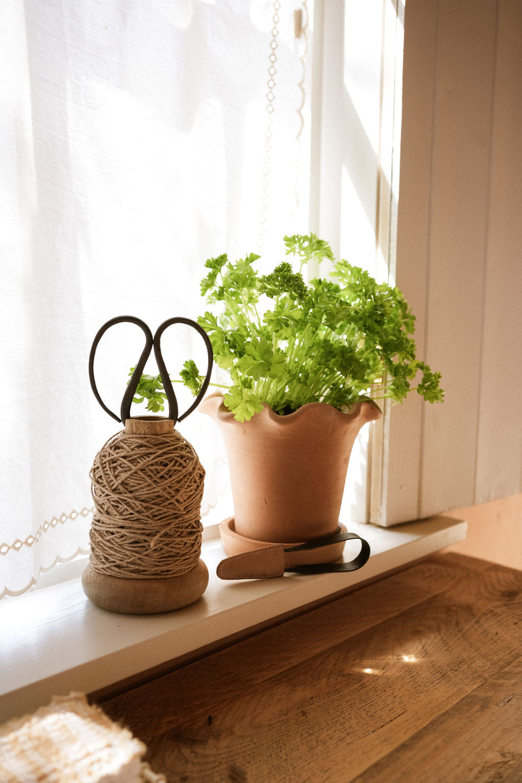 Garden Twine and Scissors