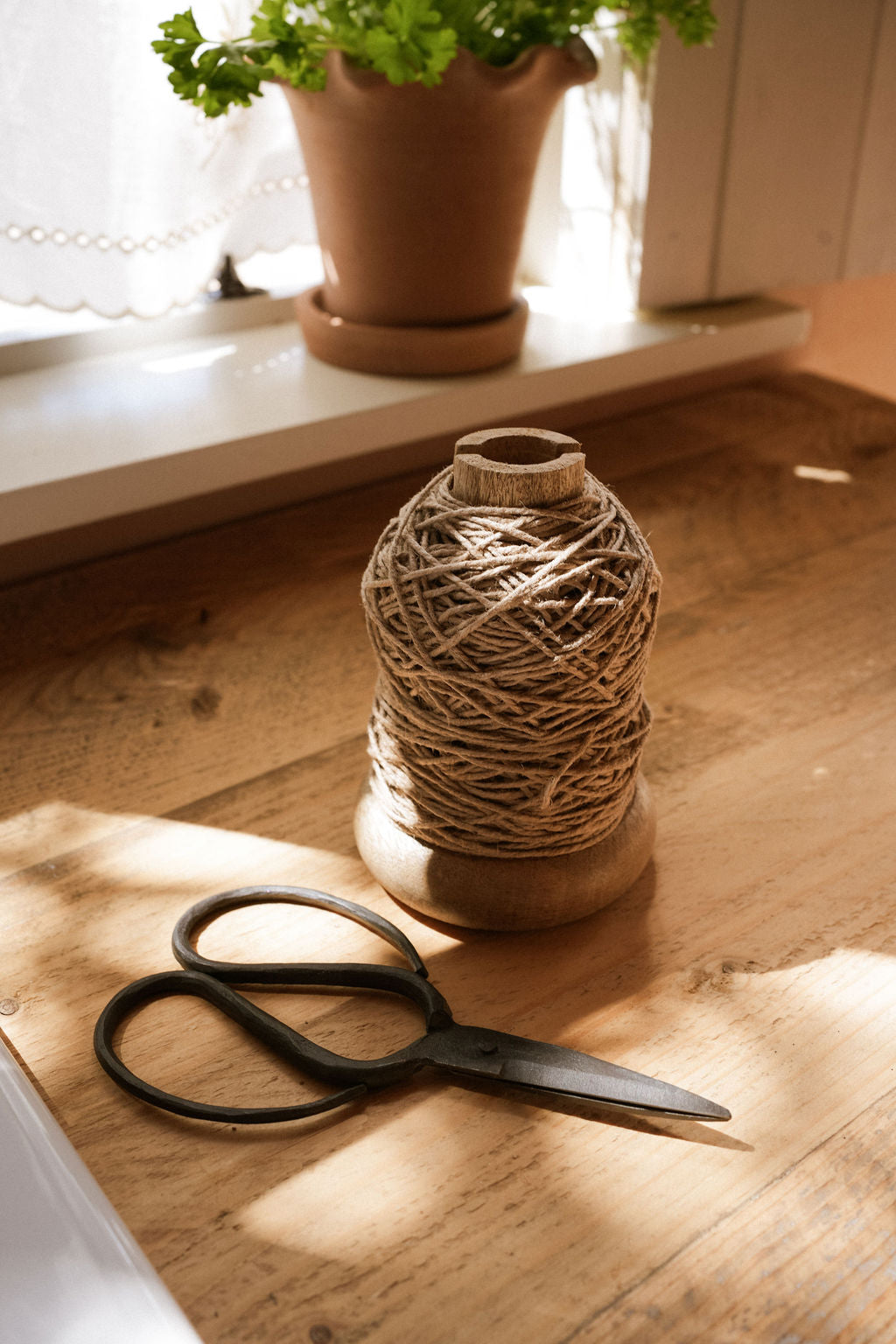 Garden Twine and Scissors