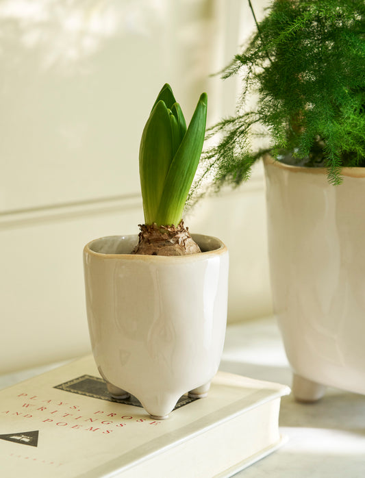 Positano Pot | White