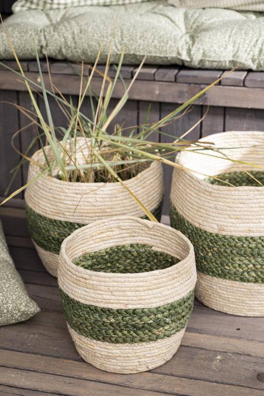 Corn Basket with green stripe