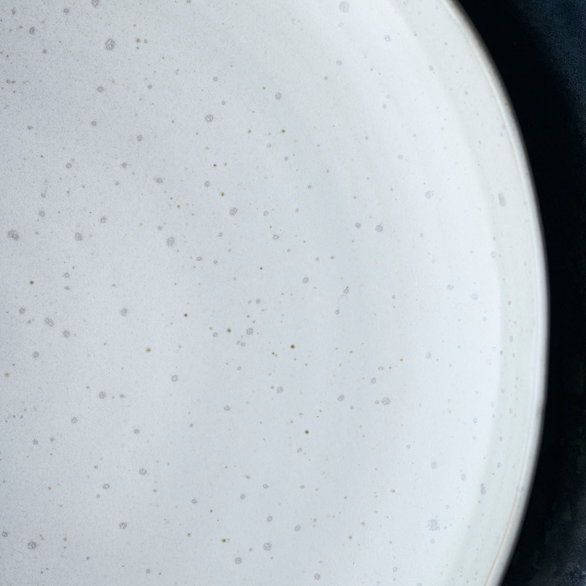 Lunch Plate, Pion, Grey/White