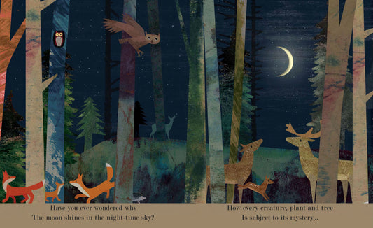 Moon: Night time around the world (board book)