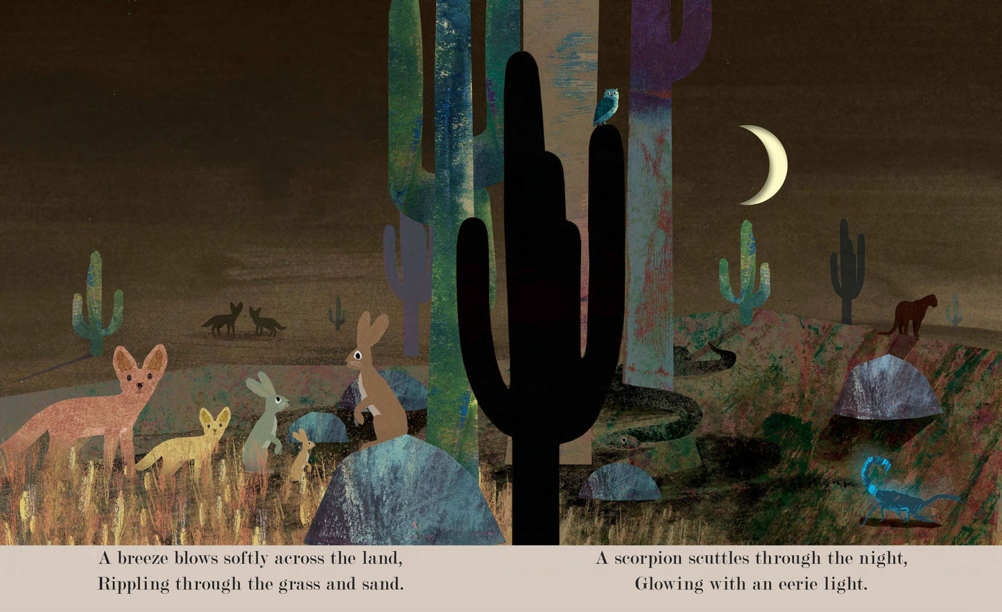 Moon: Night time around the world (board book)