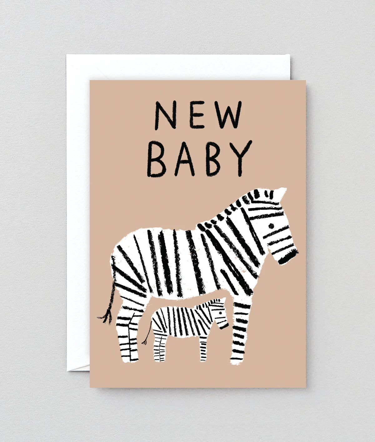 New Baby Zebras