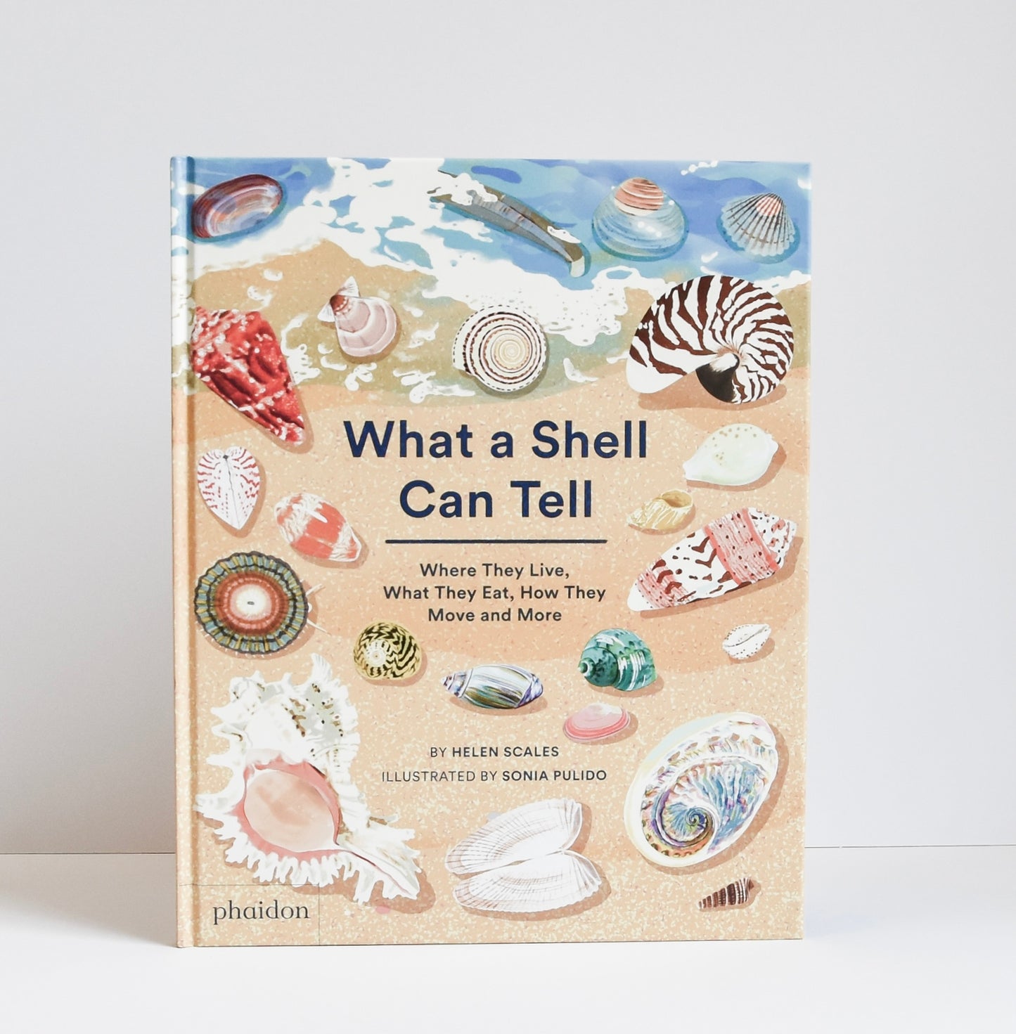 What a Shell Can Tell