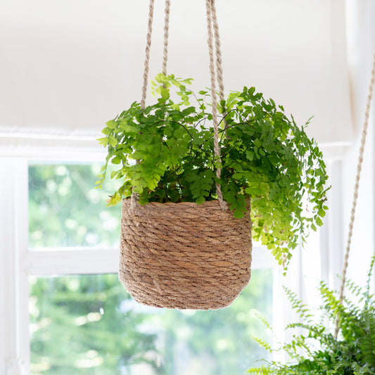Hanging basket plant pot, seagrass