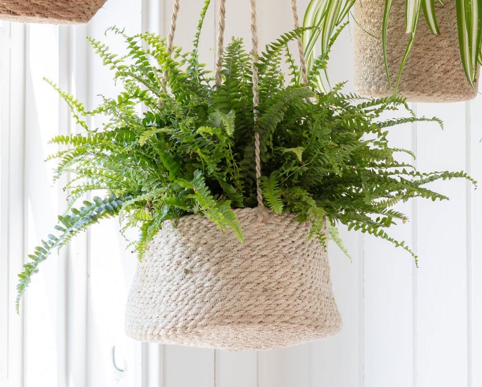 Hanging Plant Pot, Tapered, Jute