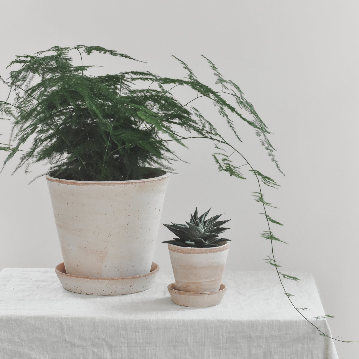 Julie Plant Pot | Rosa