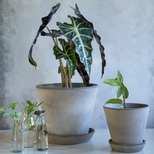 Julie Plant Pot | Grey