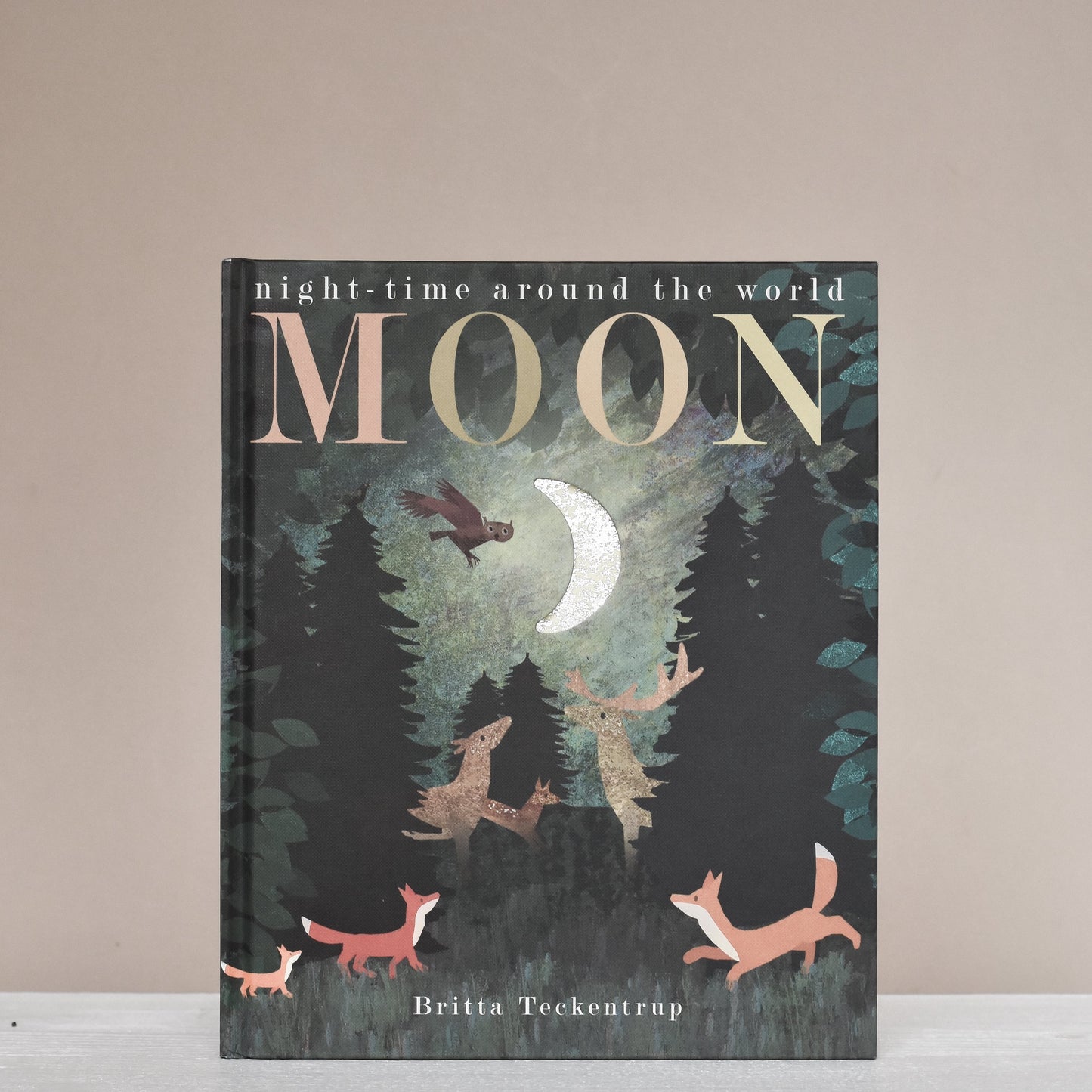 Moon: Night time around the world (board book)