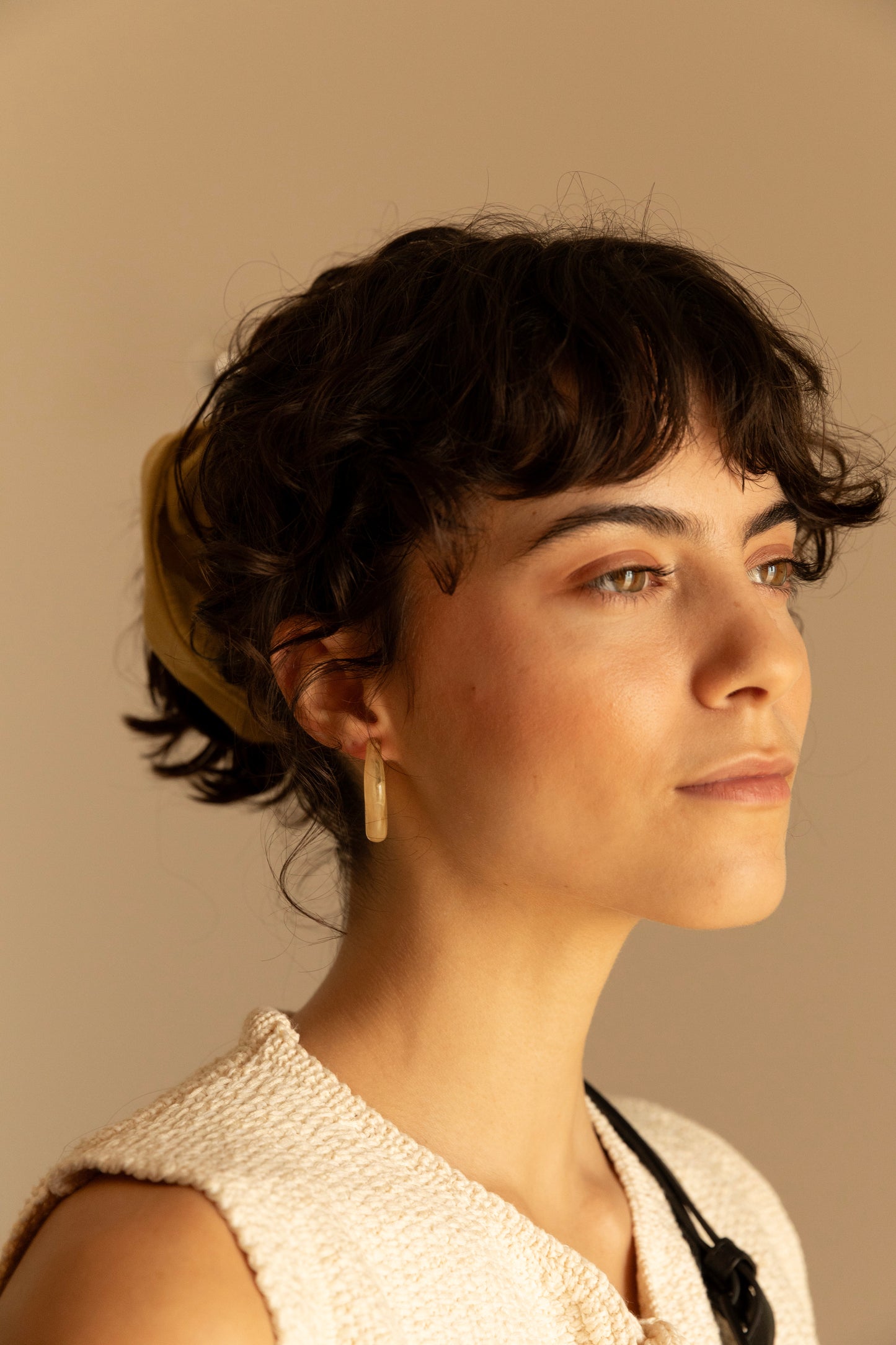 Earrings | pampas
