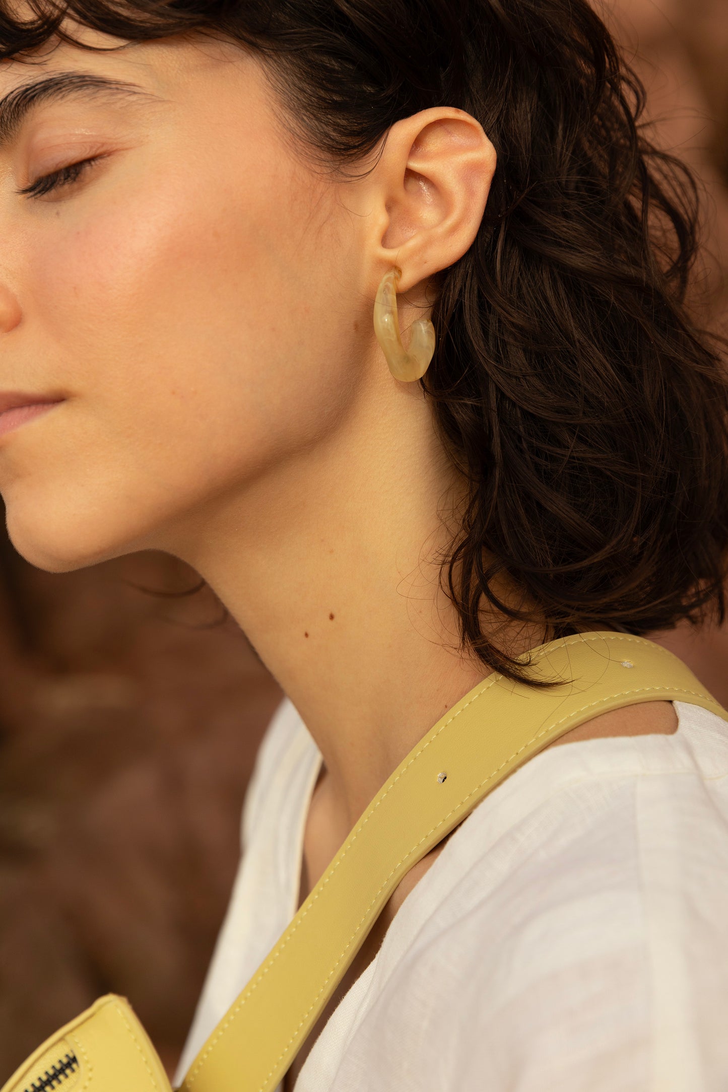 Earrings | pampas