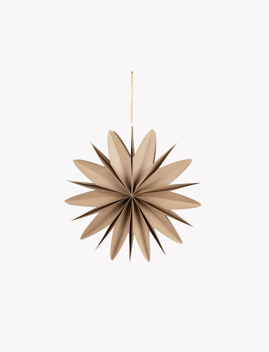 Paper Curved Christmas Star | Truffle