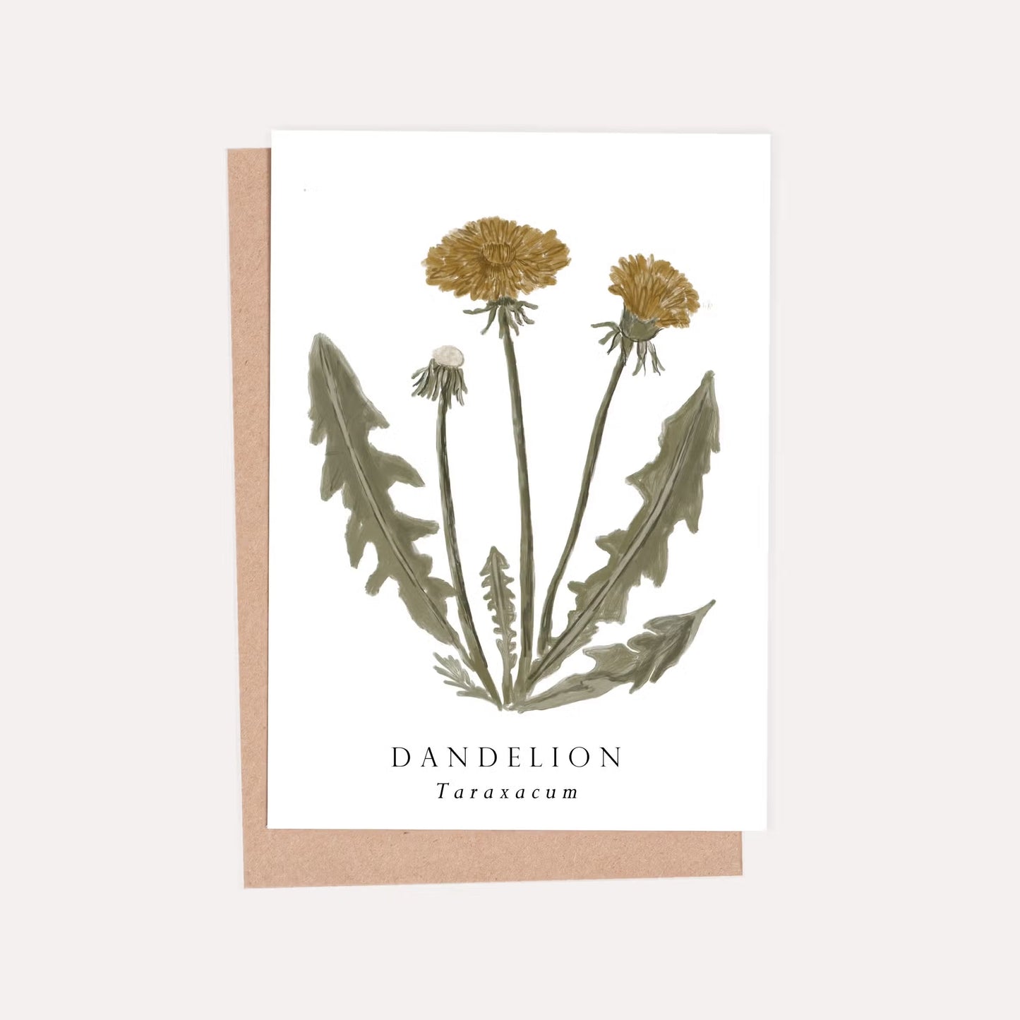 Dandelion Flower Botanical Card