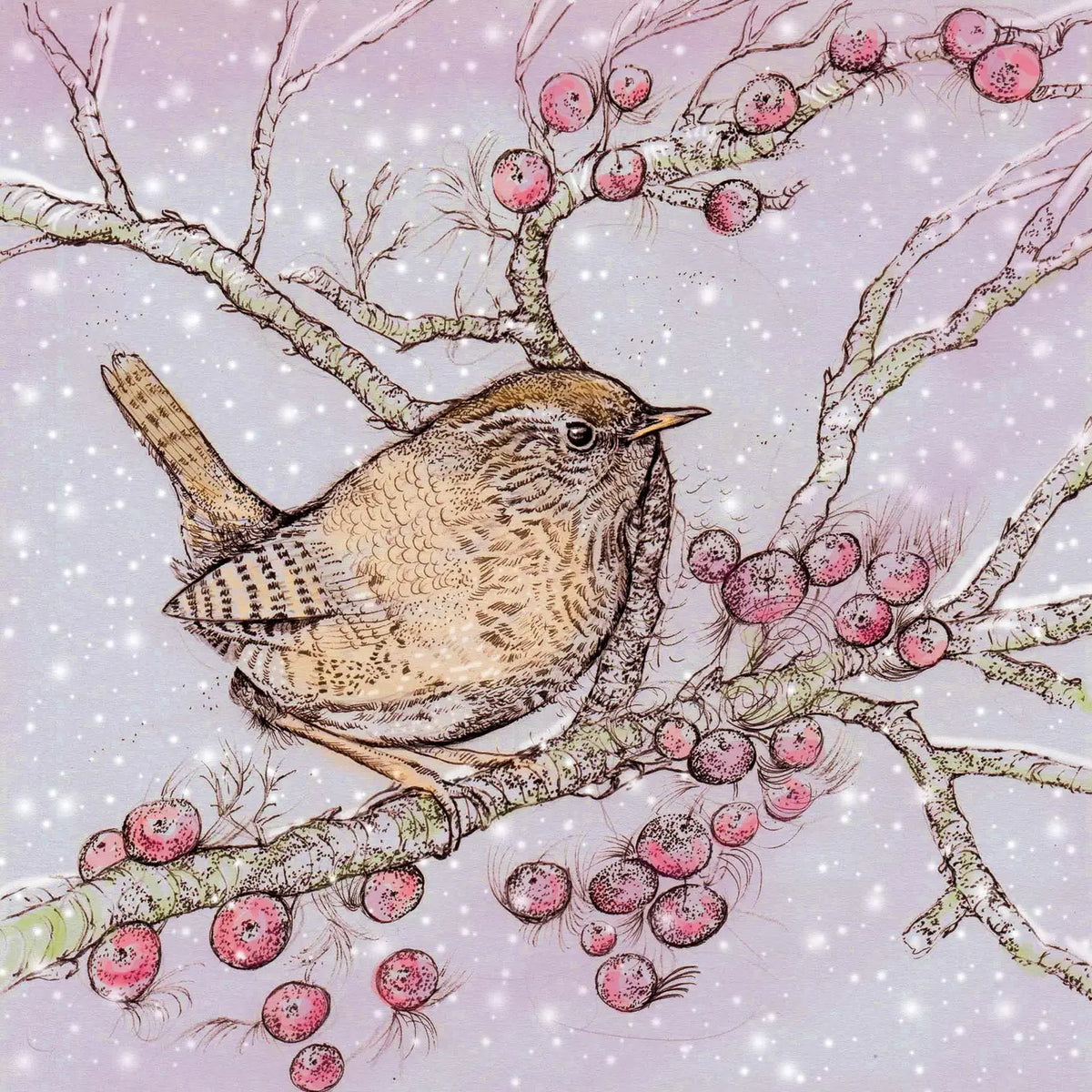 Wren and Berries