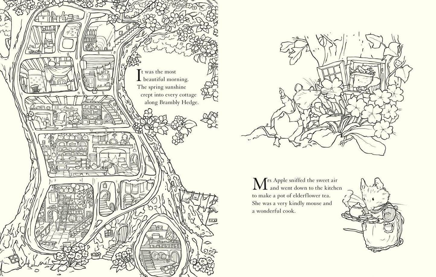 Brambly Hedge: Nature Colouring Book