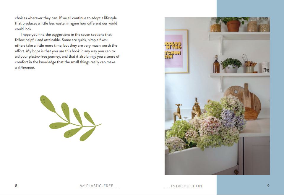 My Plastic Free Home