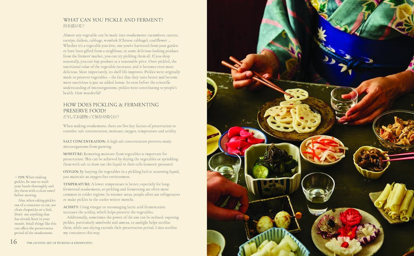 Japanese Art of Pickling and Fermenting