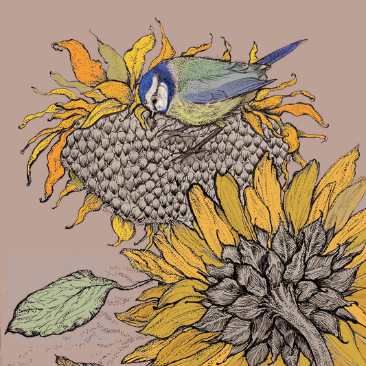 Blue Tit and Sunflower