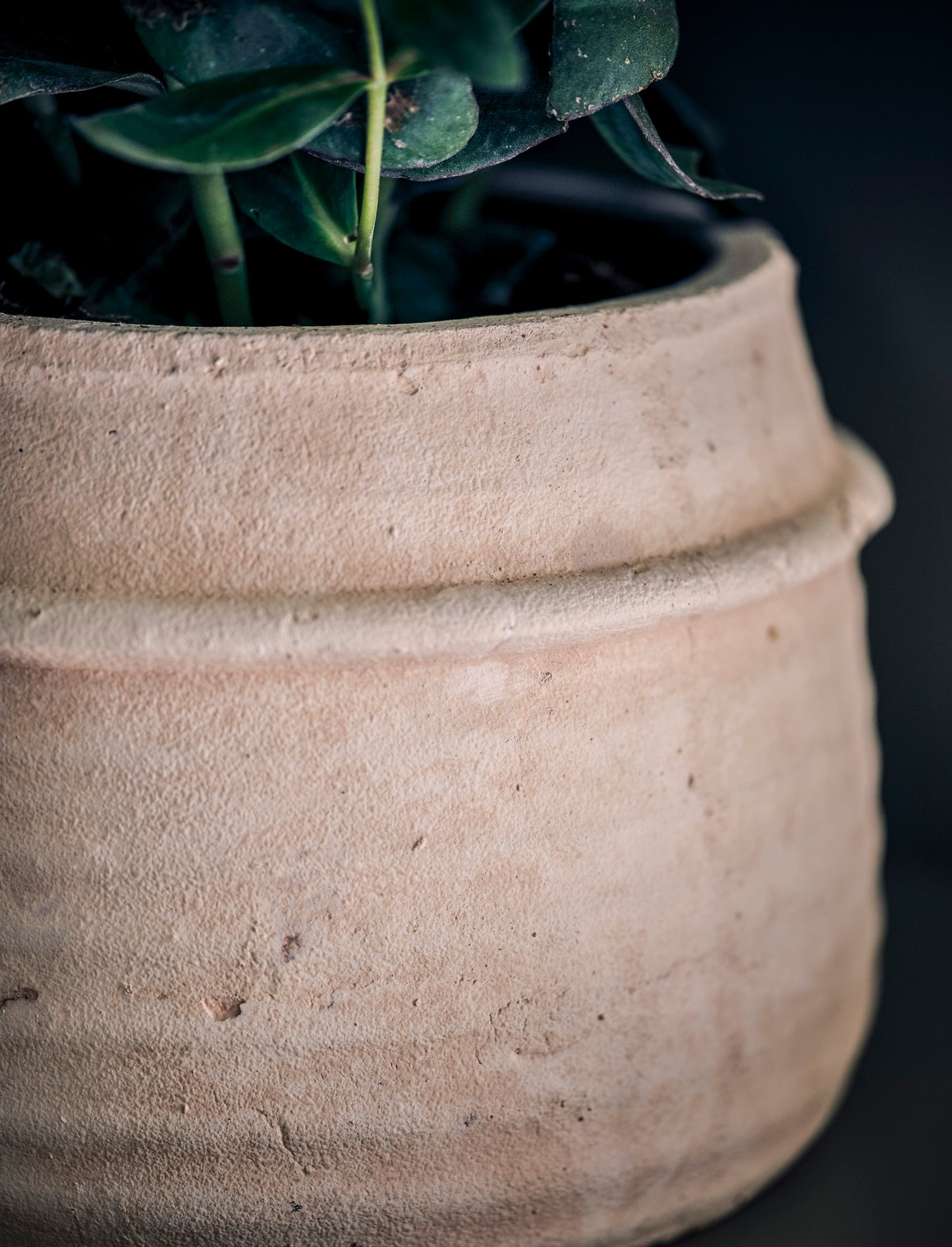 Terracotta Pot