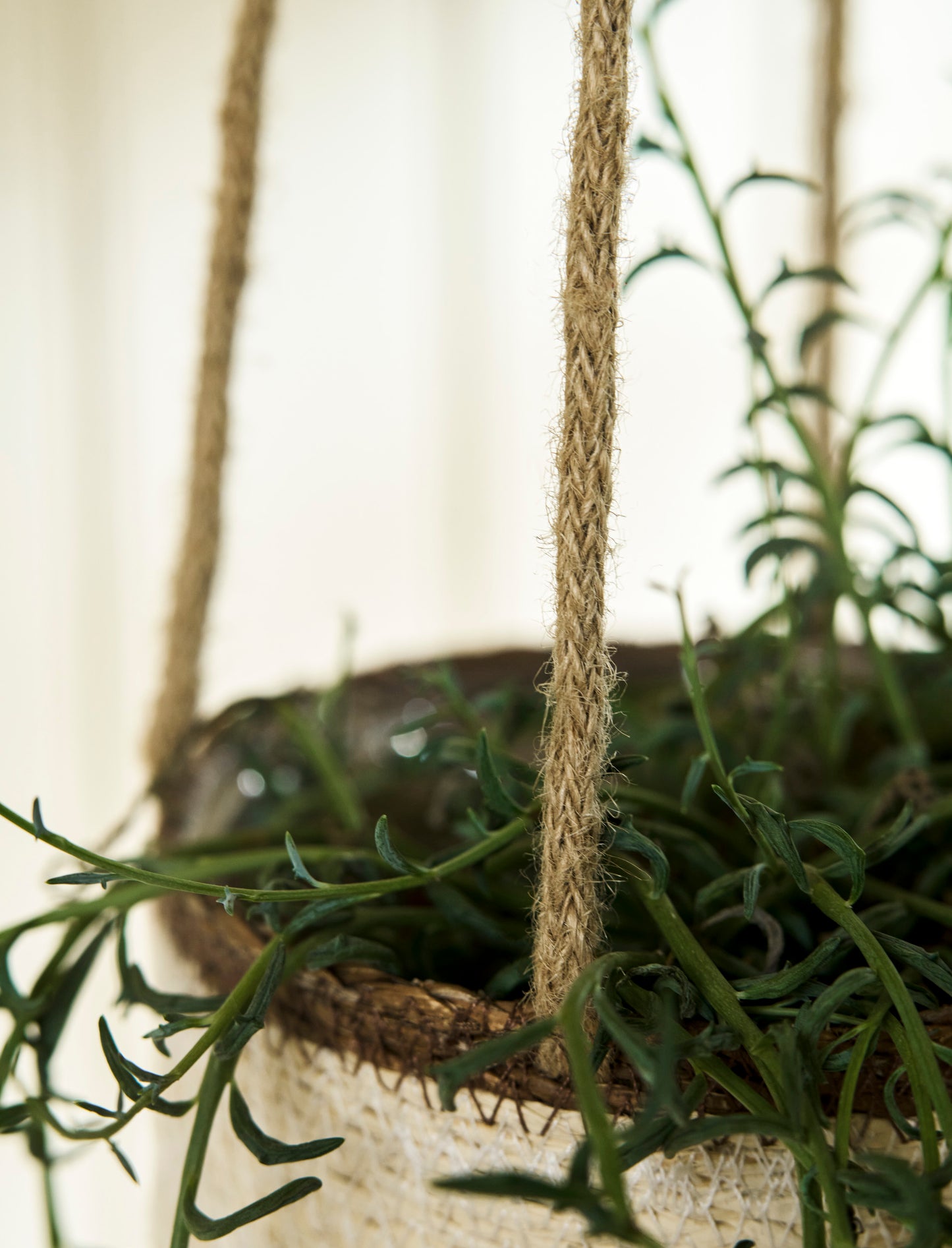 Hanging Pot Multi Stripe 14cm