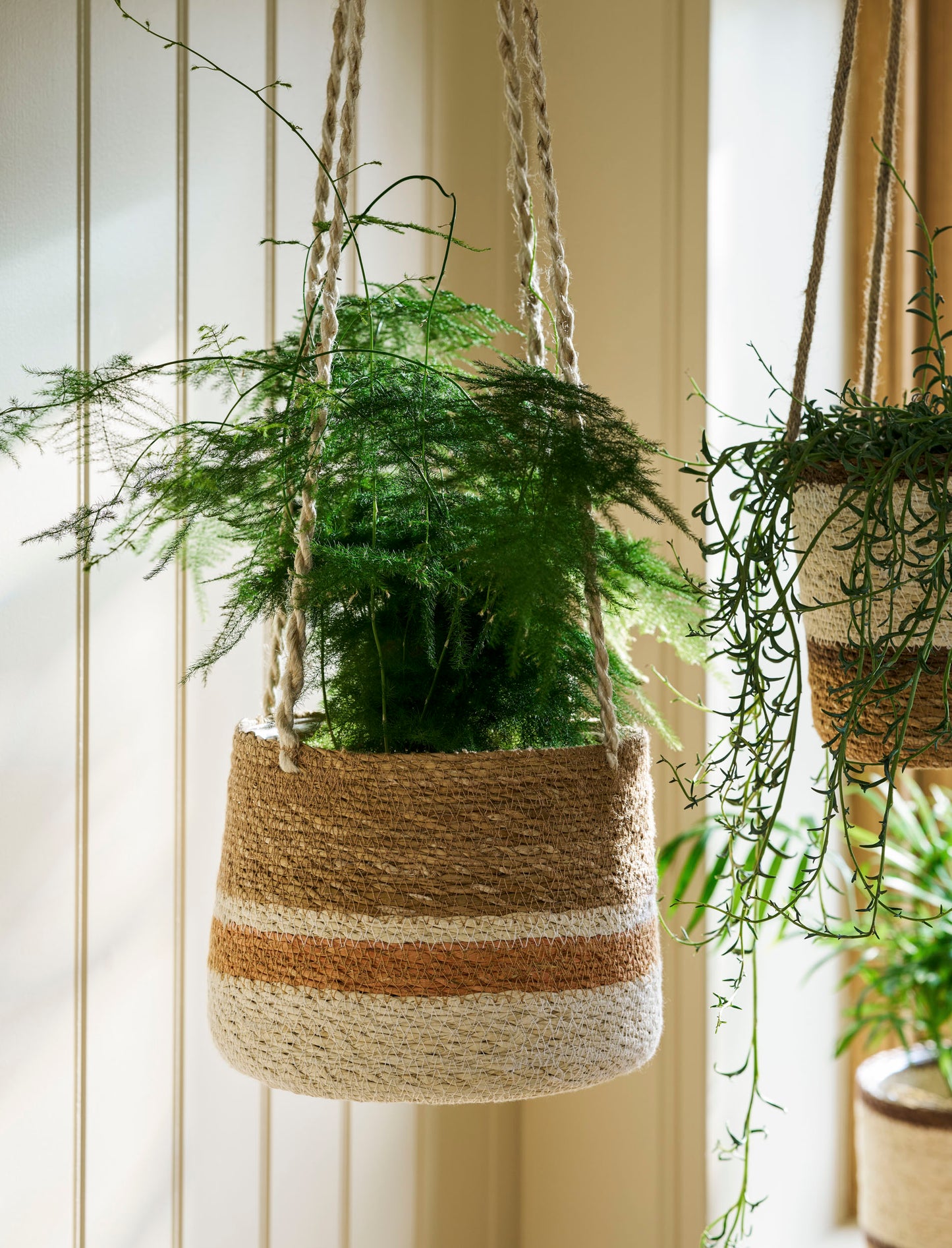 Hanging Pot Tapered Terracotta Stripe