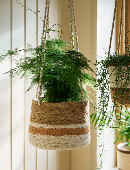 Hanging Pot Tapered Terracotta Stripe