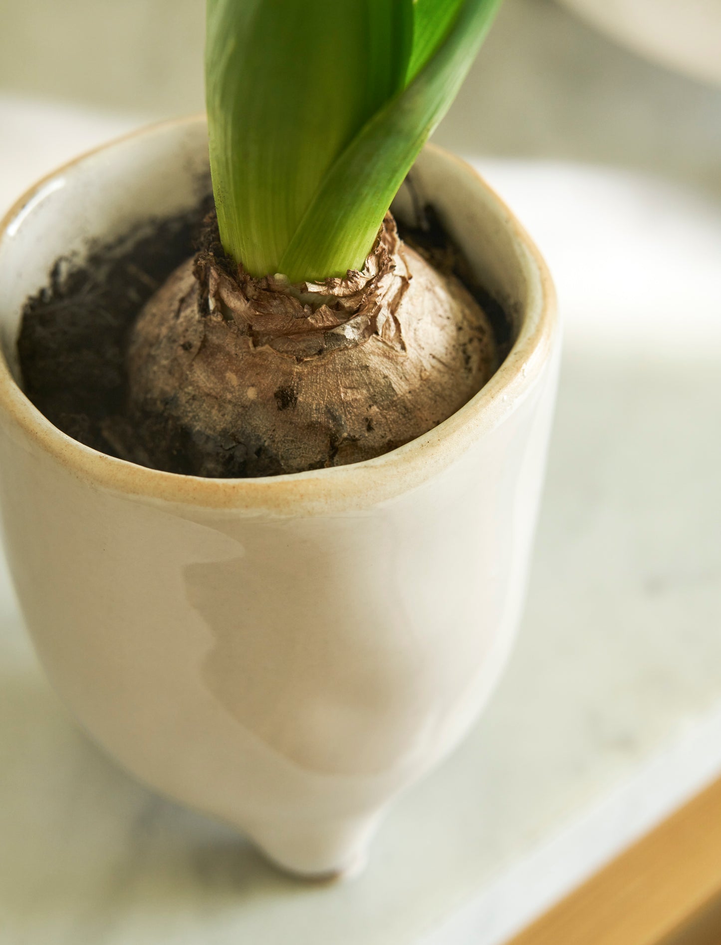 Positano Pot | White
