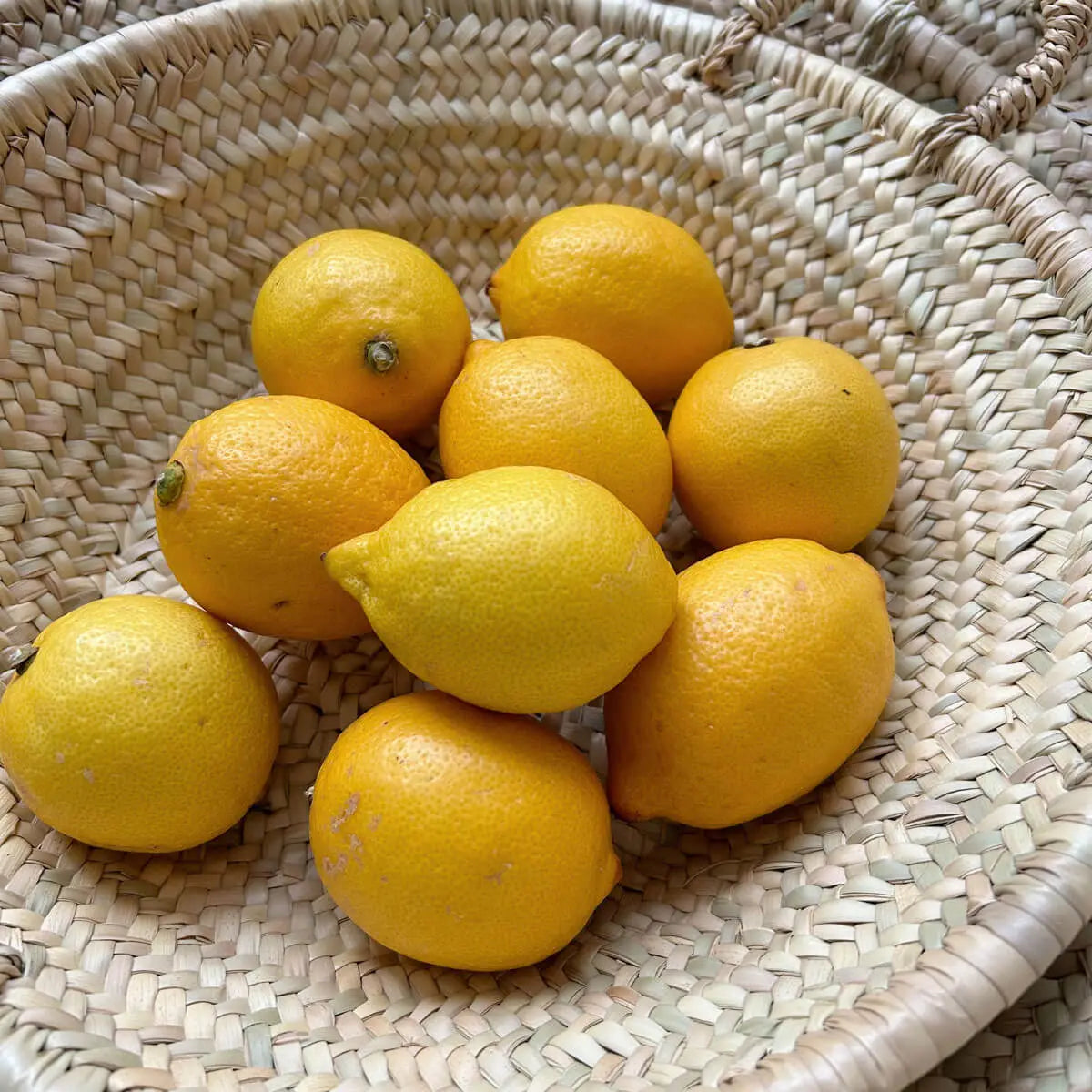 Moroccan Woven Plate