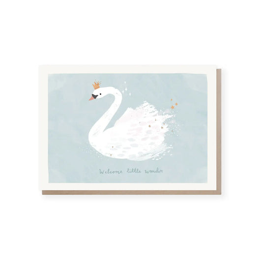 New Baby Swan