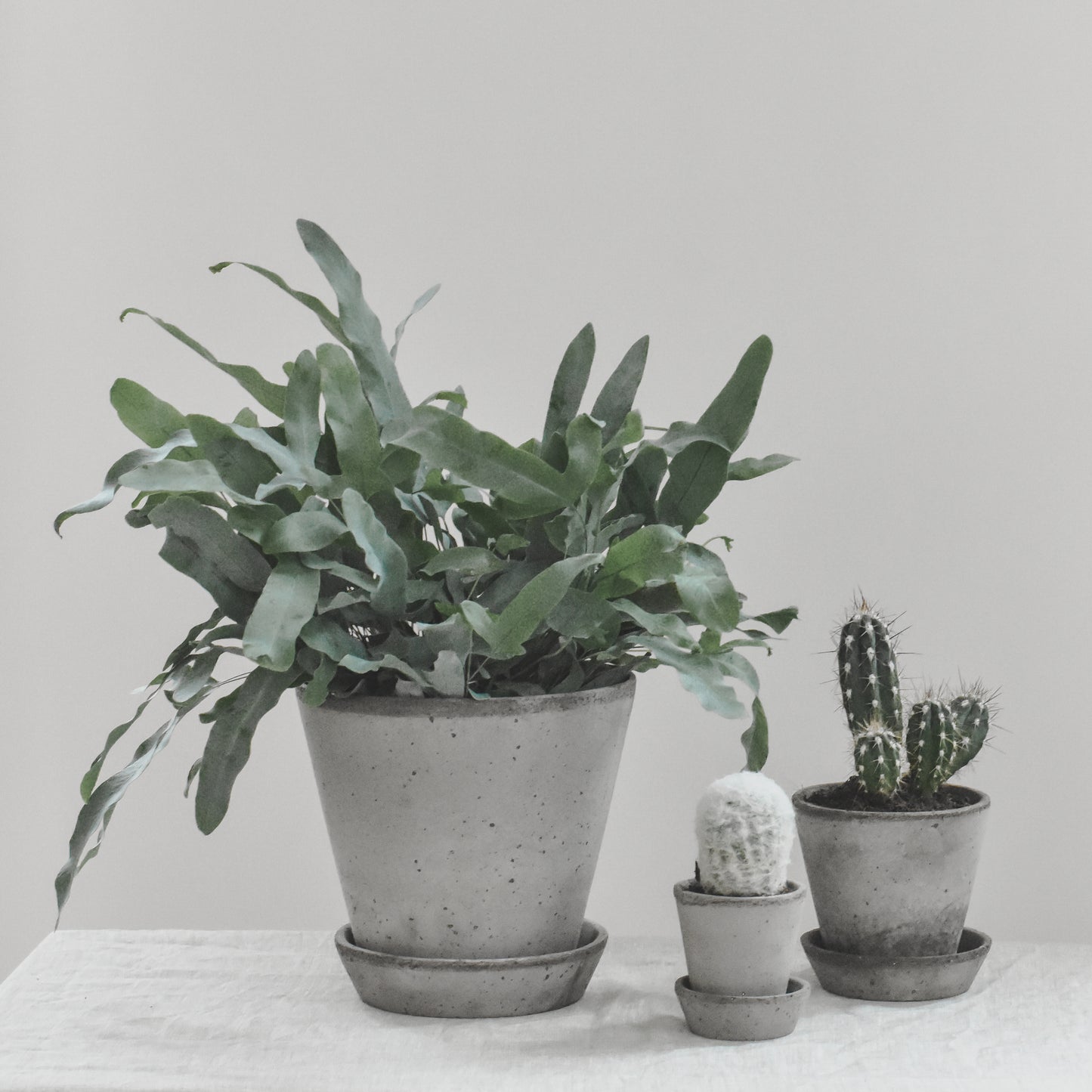 Julie Plant Pot | Grey