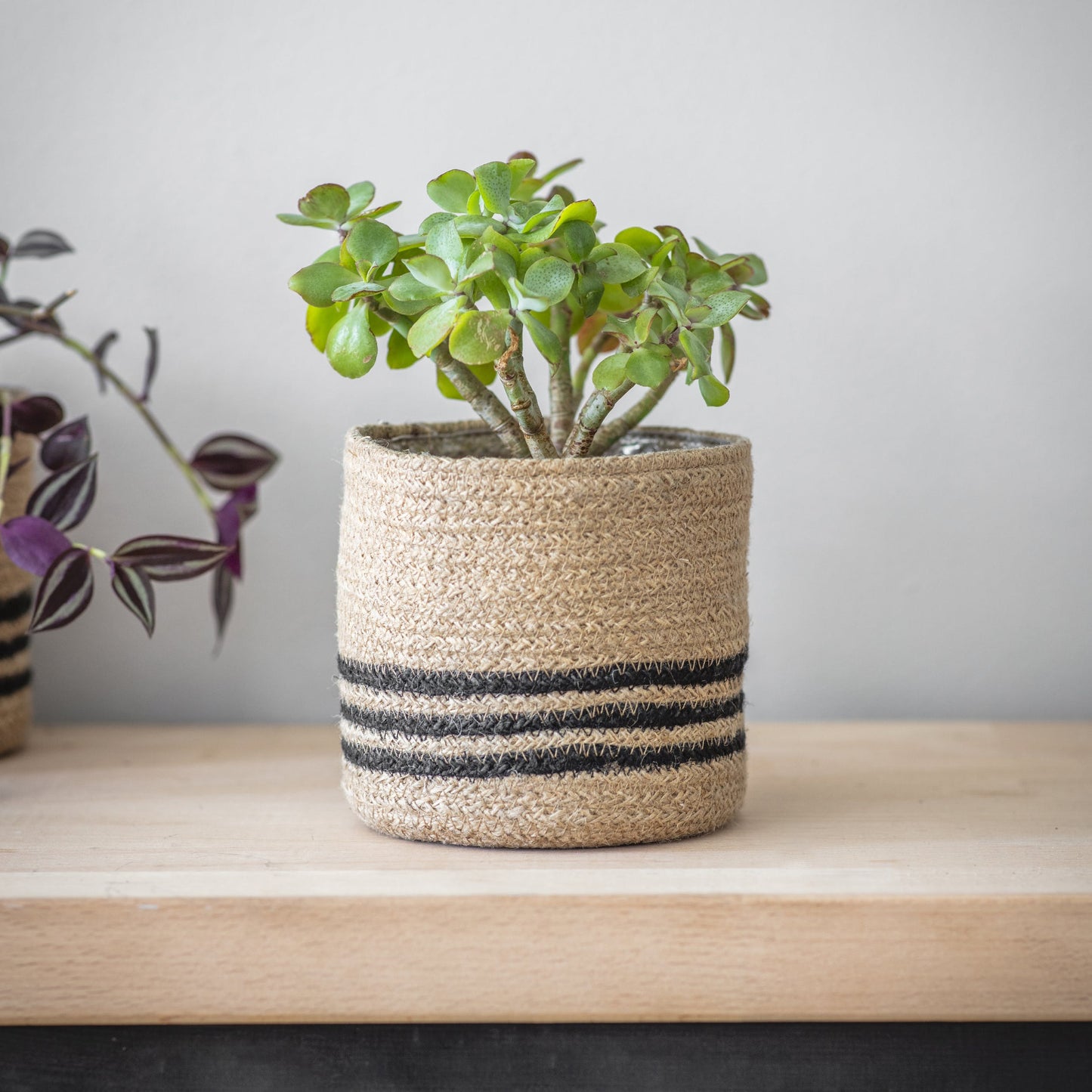 Striped Woven Plant Pot