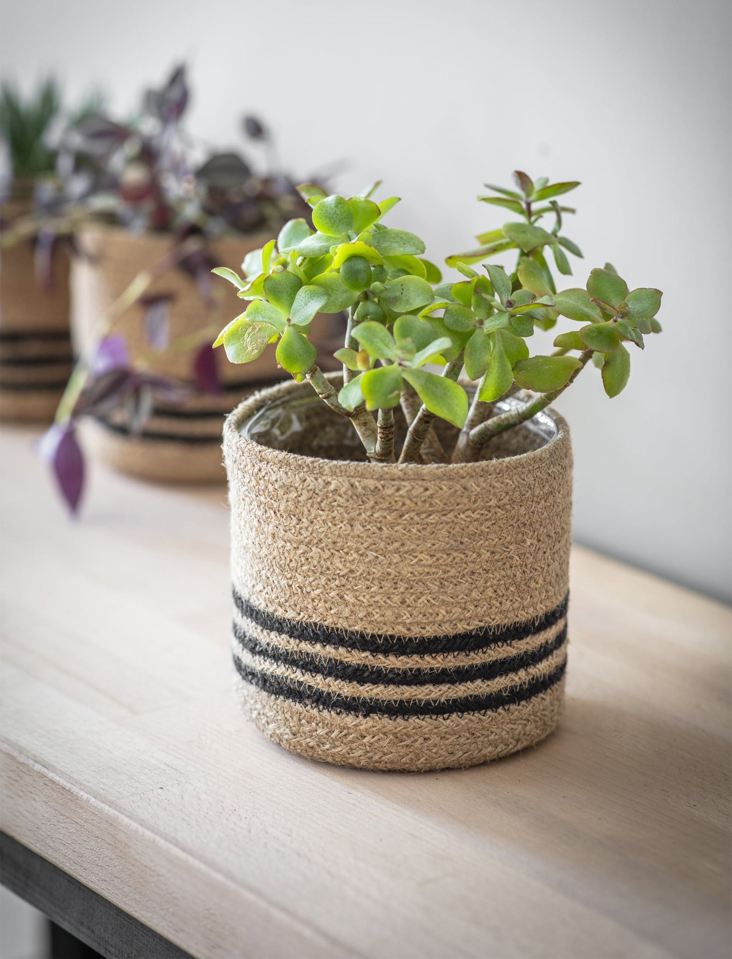 Striped Woven Plant Pot