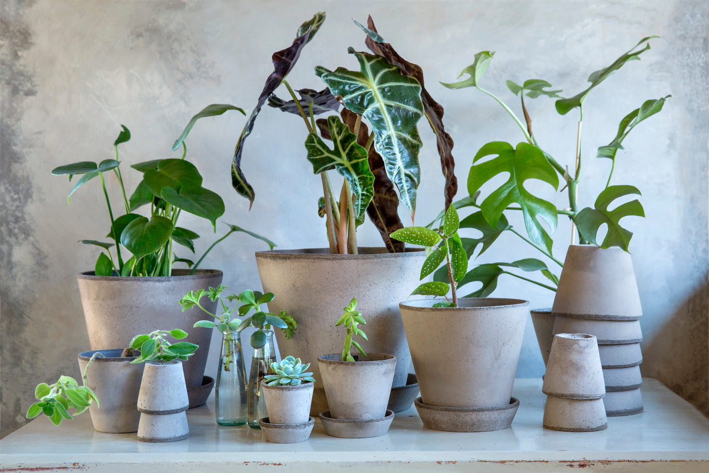 Julie Plant Pot | Grey